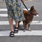 Sandals for Her - Handcrafted Sandals for Women Made in Europe - Daily Nomad