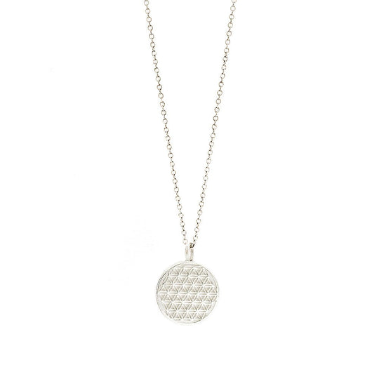 {{ product.title }} — Sustainable {{ product.type }} by Daily Nomad. Ethically made in Europe.