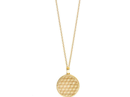 {{ product.title }} — Sustainable {{ product.type }} by Daily Nomad. Ethically made in Europe.