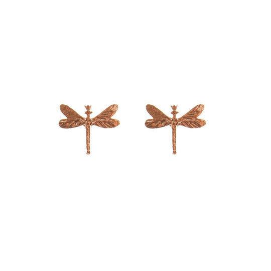 {{ product.title }} — Sustainable {{ product.type }} by Daily Nomad. Ethically made in Europe.